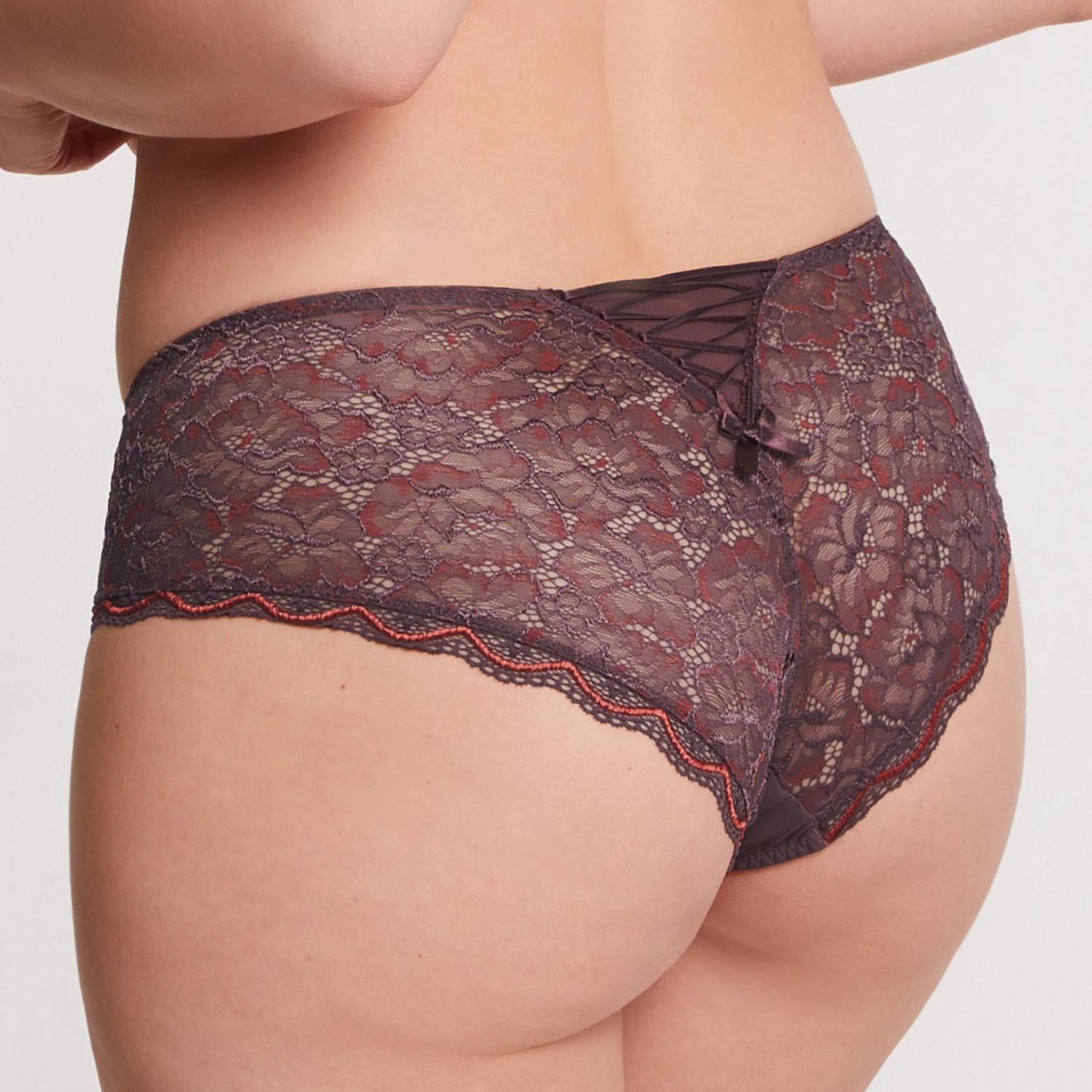 Boxer Moka Luccia Harmony – Image 2